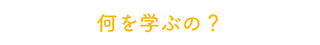 何を学ぶの？